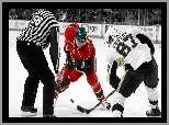 Hokej, Penguis, Sidney Crosby, Pittsburgh